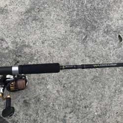 ハマチリベ達もノータチウオノーライフ