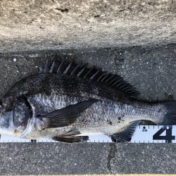 イチノ兄弟、釣果！