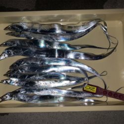 今季初、プチ爆！