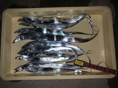 今季初、プチ爆！