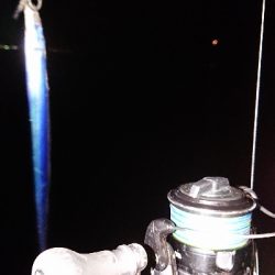 今シーズン初陣