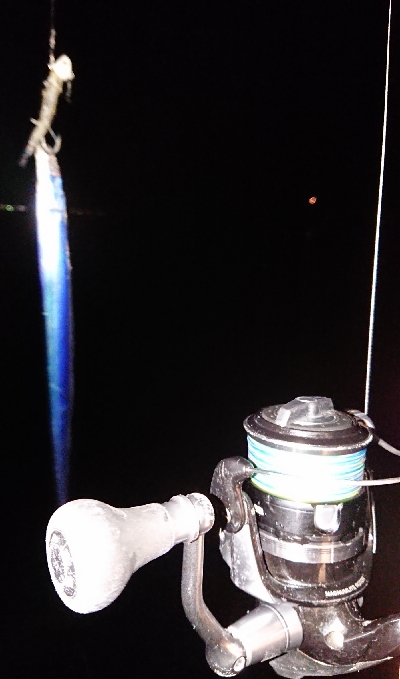 今シーズン初陣