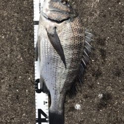 イチノ兄弟、釣果！