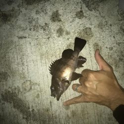 8月7日神戸空港