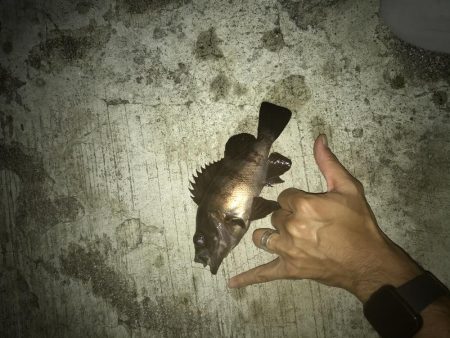 8月7日神戸空港