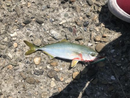 ショアジギング