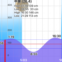 ゴロタでの釣行