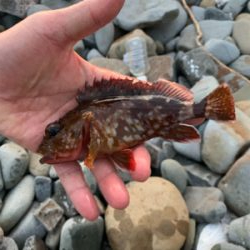 梅雨明けフロート