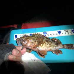 教訓 いつもタモは手元に