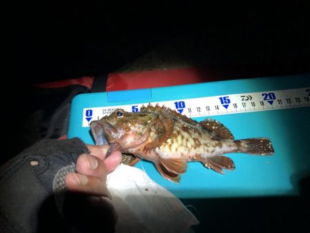 教訓 いつもタモは手元に