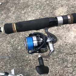 フグ祭り。。。