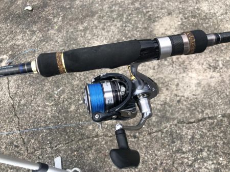 フグ祭り。。。