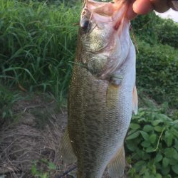 小バスに癒されて