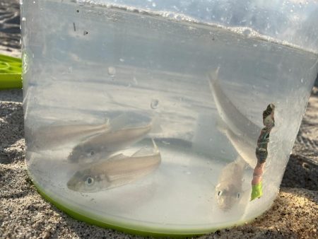 朝からキス狙い