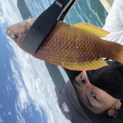 オフショア釣果投稿