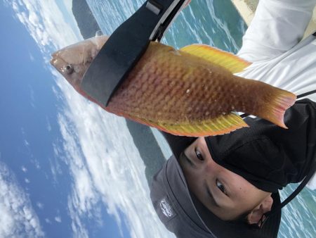 オフショア釣果投稿