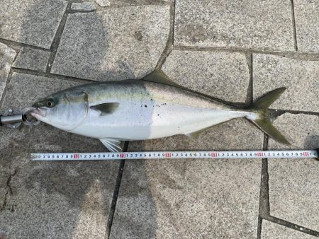 げき渋の中なんとか一本