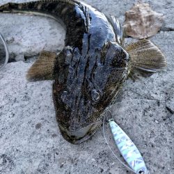 マゴチ自己記録