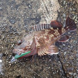 武庫一でライトワインド!