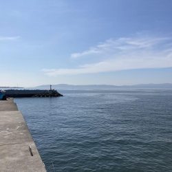 東二見人工島前打ちカサゴカンダイ