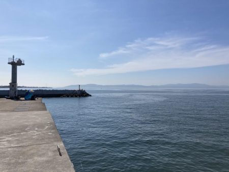 東二見人工島前打ちカサゴカンダイ