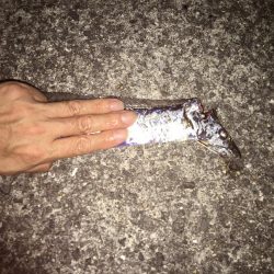 今季初タチウオ