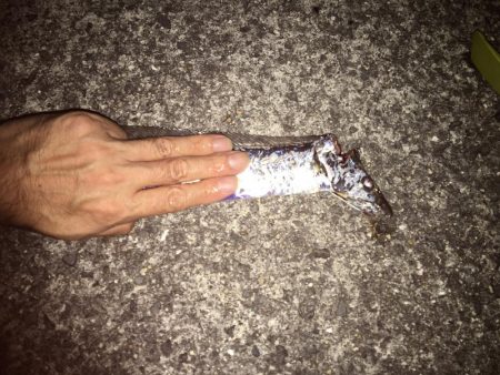 今季初タチウオ