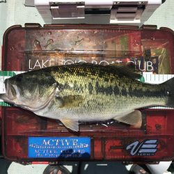 真夏の津風呂攻略