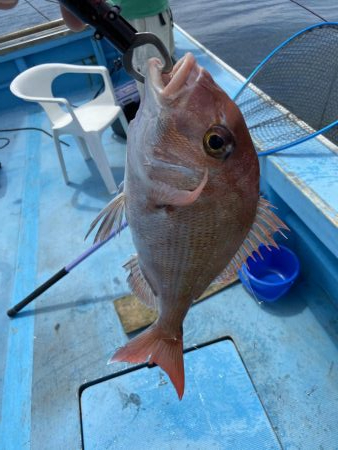 エビラバ&落とし込み釣行