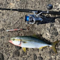 ショアジギング