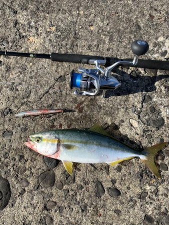 ショアジギング