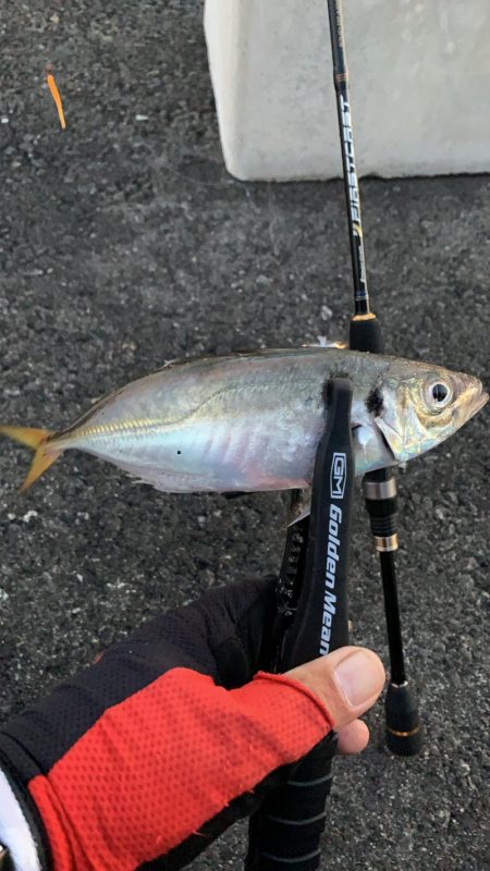 連チャンアジング