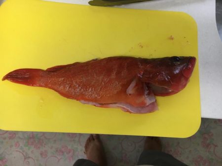 根魚にワーム初使用