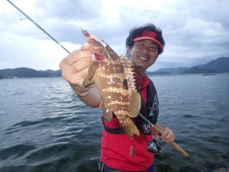 夏魚、アコウ ！