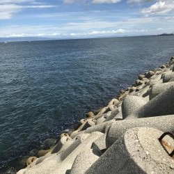 ショアジギングでシオ！&タコ！