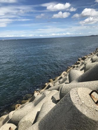 ショアジギングでシオ！&タコ！