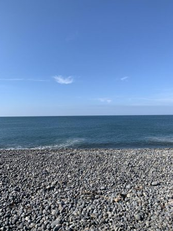 ショアジギング