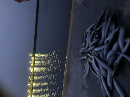 用事のついでに釣り