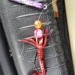 ボラに引っ張ってもらいました。チニングに行ったのに。