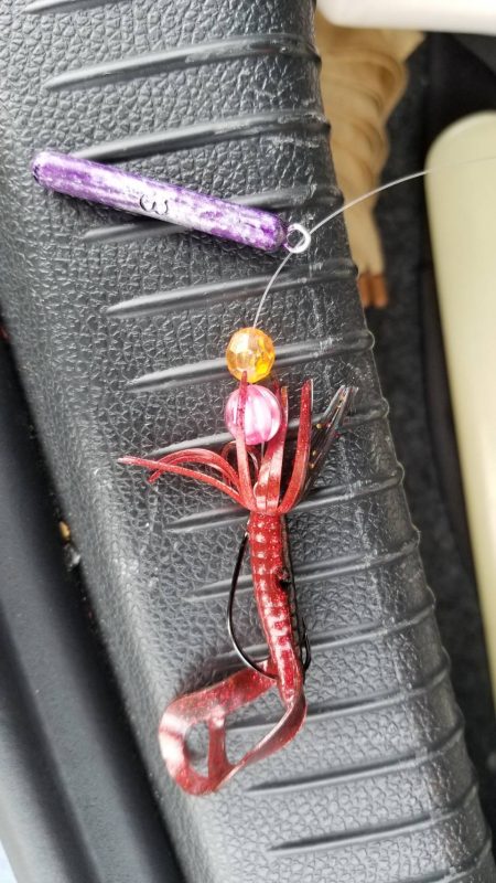 ボラに引っ張ってもらいました。チニングに行ったのに。