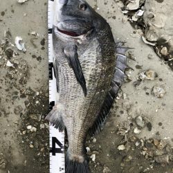 イチノ兄弟、釣果！