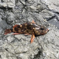 フカセ2回目‼︎