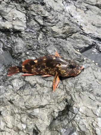 フカセ2回目‼︎