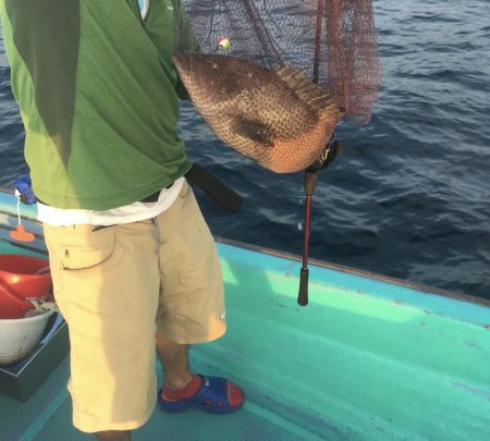 浅川沖でオオモンハタ