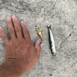 久しぶりの無風