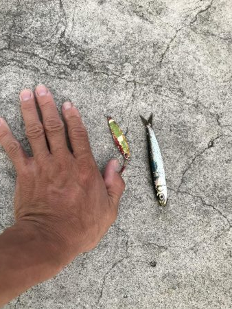 久しぶりの無風