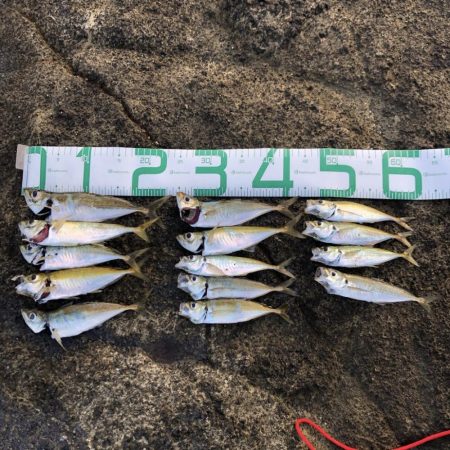 朝マズメアジング