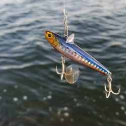 狙ってボラファイト。シーバスはどこへ？