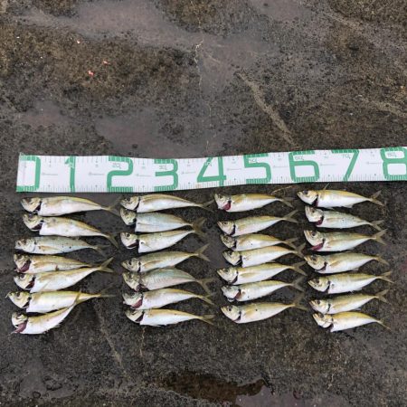 朝マズメアジング