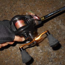 真夏の夜の釣り